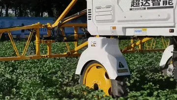 新疆昌吉：智能机器人上岗 解锁棉田管护新模式