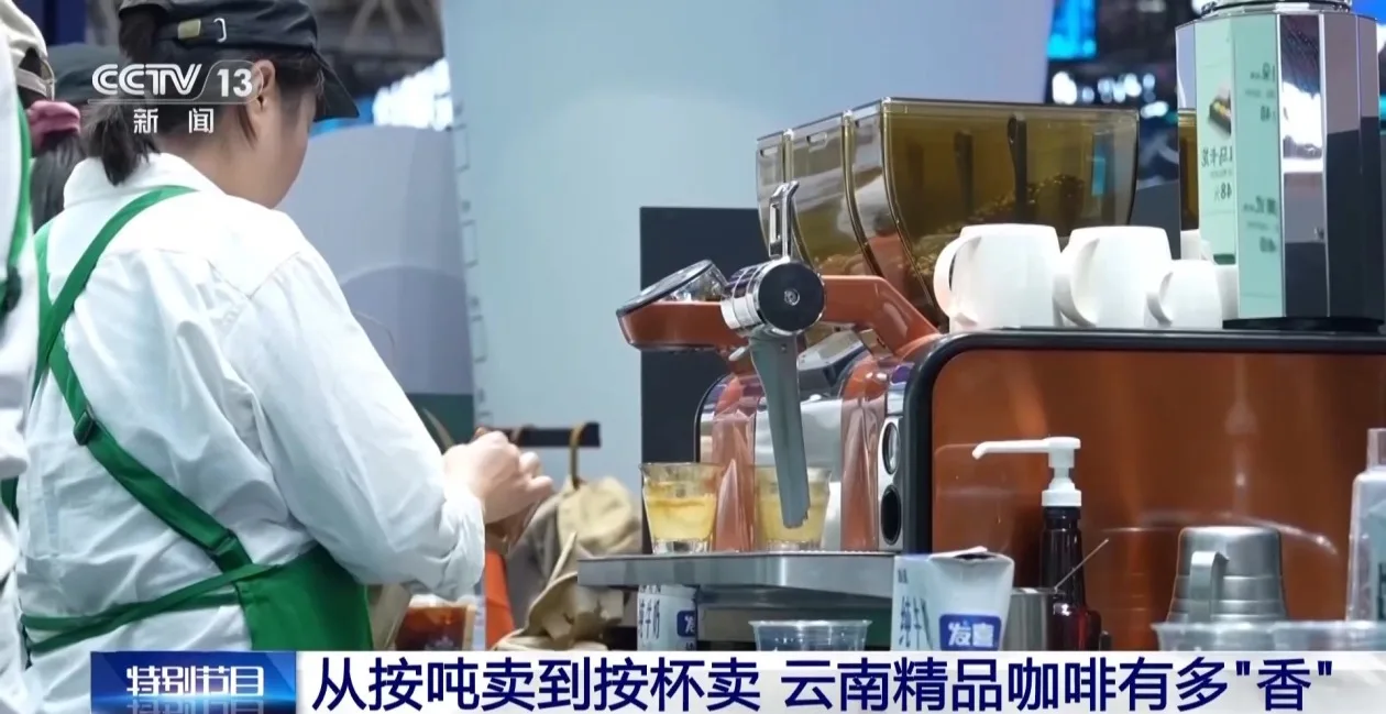 按吨卖→按杯卖 云南精品咖啡香飘世界