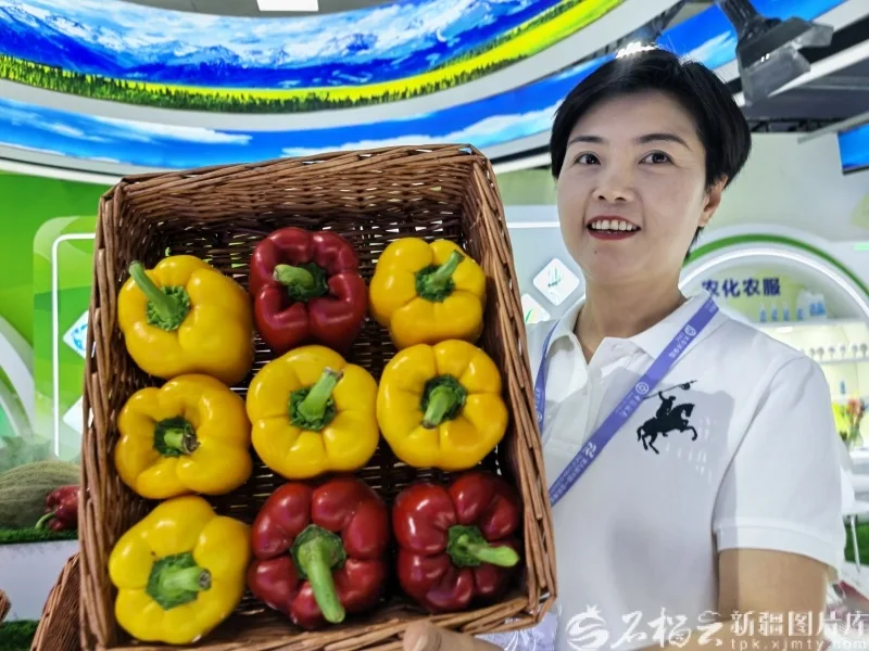 一颗彩椒的“跨国旅行” 看新疆味道如何拿捏中亚食客味蕾