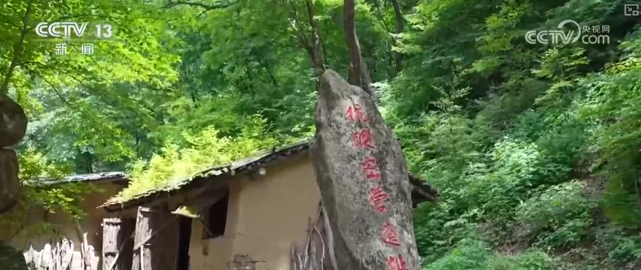 【牢记初心使命 奋进复兴征程】红色沃土变“金山” 百姓端稳“金饭碗”