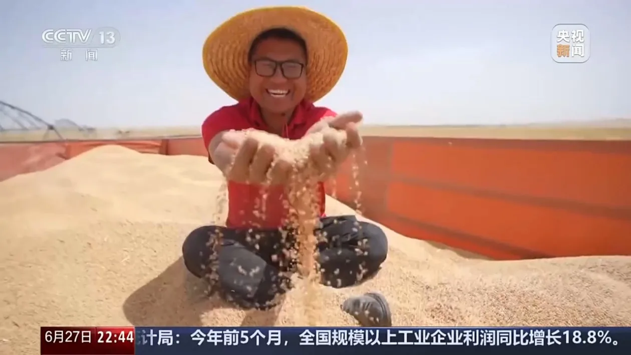 探索“治沙返耕”新路径 他们在塔克拉玛干把沙漠“变”麦田