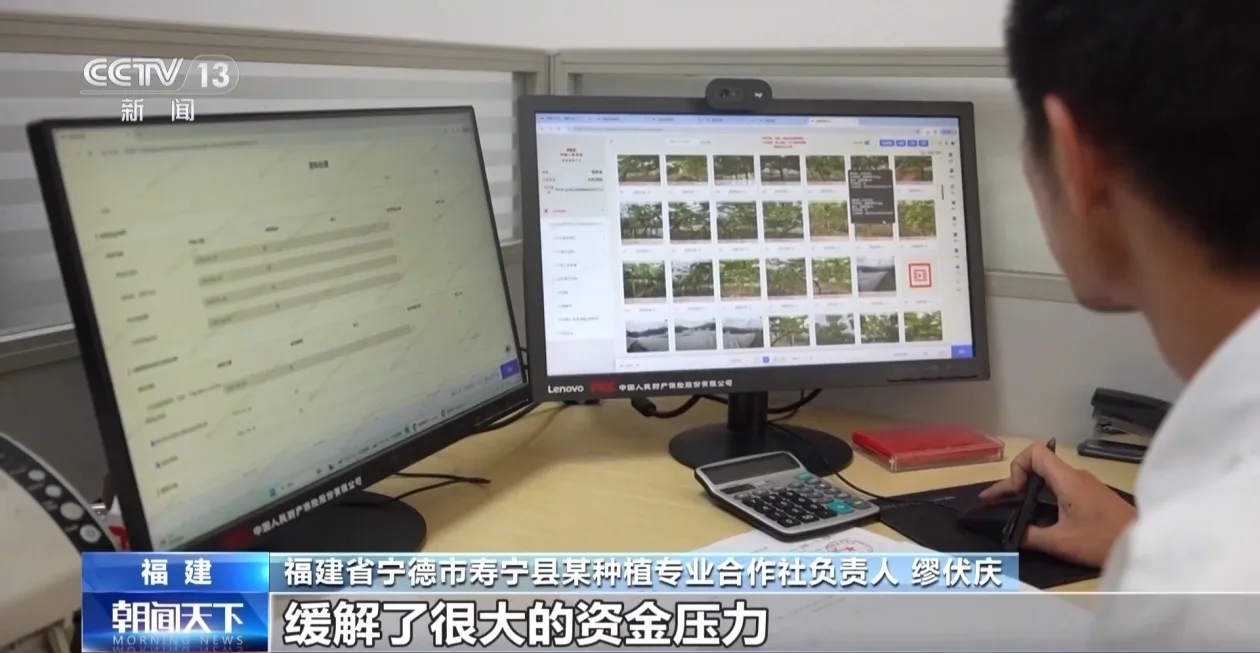兜底减损、可差额赔付 农业保险成农户稳收益有力支撑