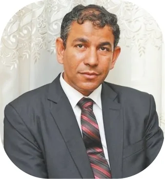 埃及中国问题专家：在中国，春节总是以“回家”为主题展开