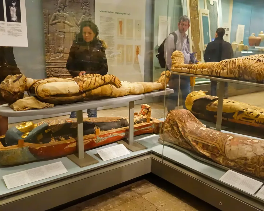 英媒：英国博物馆藏有大量人类遗骸，包括殖民掠夺战利品，被指是“可耻遗产”