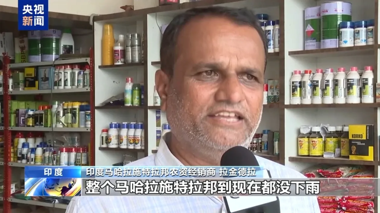 厄尔尼诺带来高温少雨 印度农业面临考验